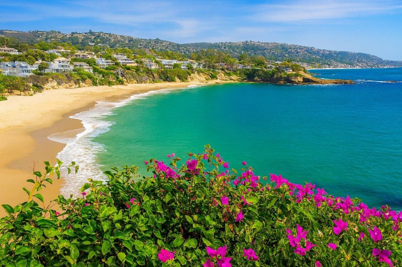 Hero for Home Services Options